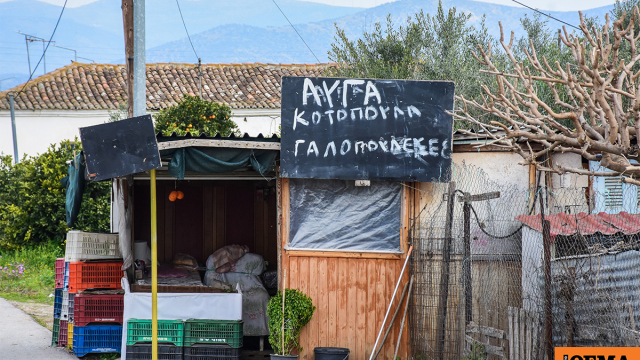 Ελεύθερη η 72χρονη που κατηγορείται για τον θάνατο 50χρονου ληστή σε χωριό του Ναυπλίου