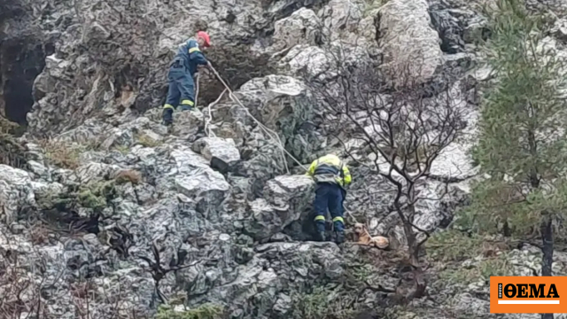 Διάσωση σκύλου που έπεσε σε χαράδρα στο φαράγγι της Αγάλης